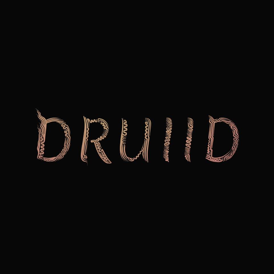 Druiid logo